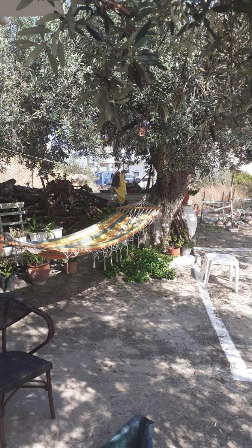 Olive Trees Vila Poros Town Exterior foto